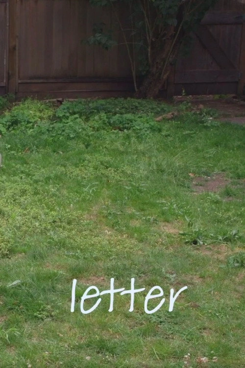 Letter