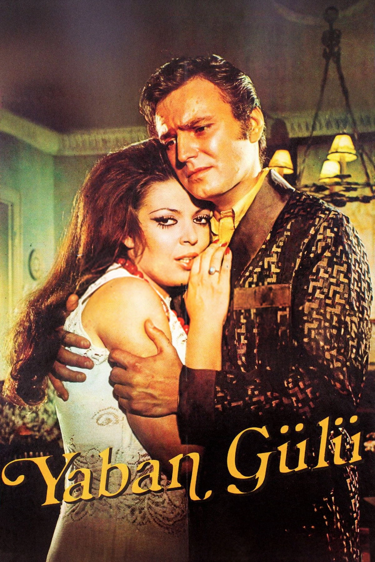 Yaban Gülü