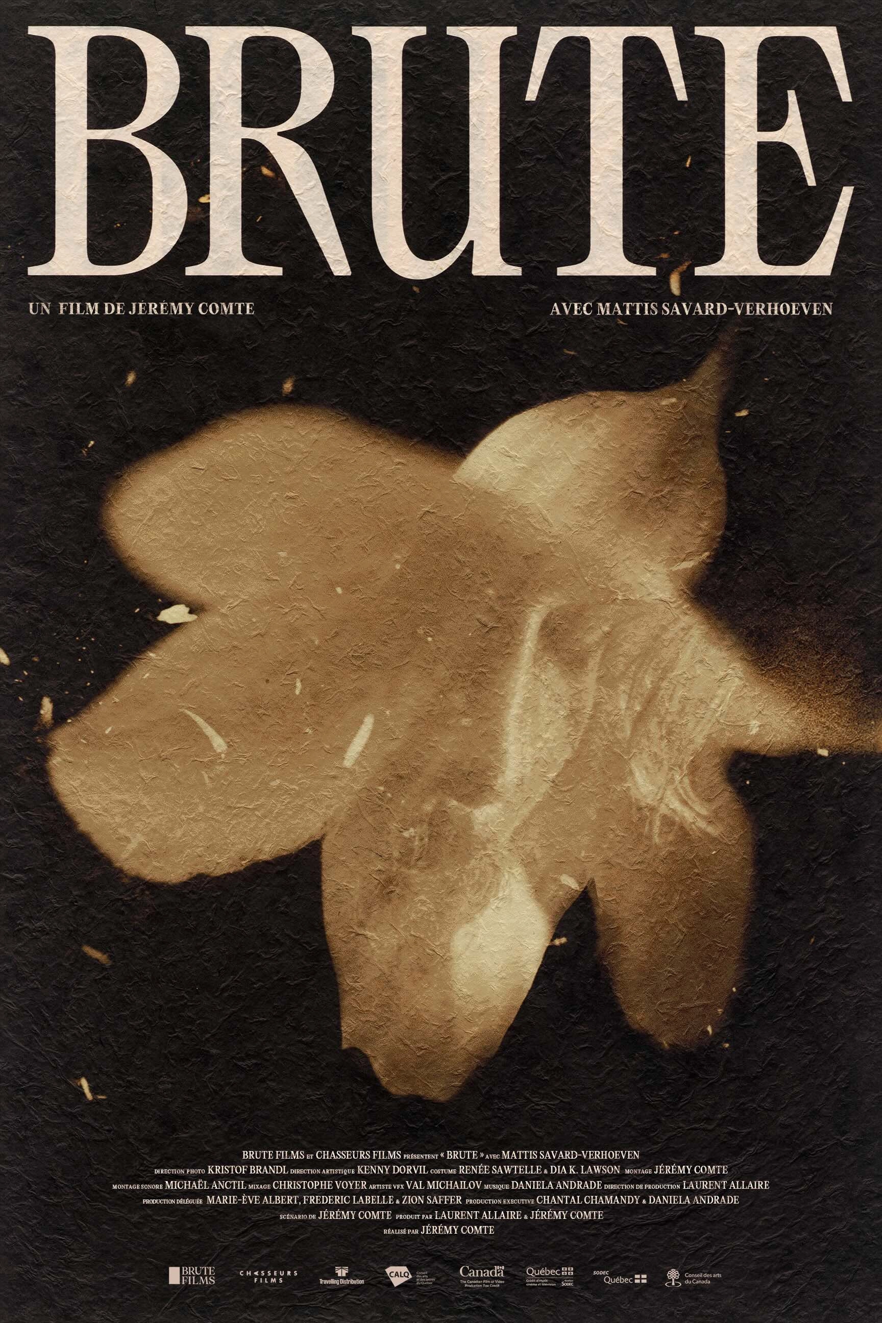 Brute