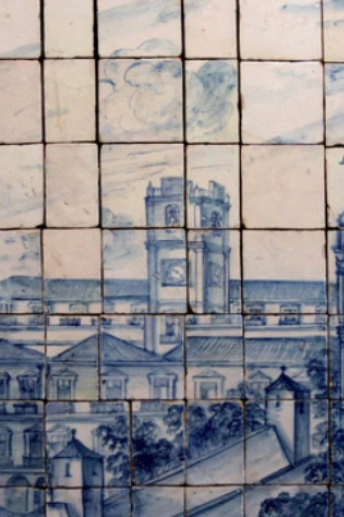 Azulejo or Visual Illusion