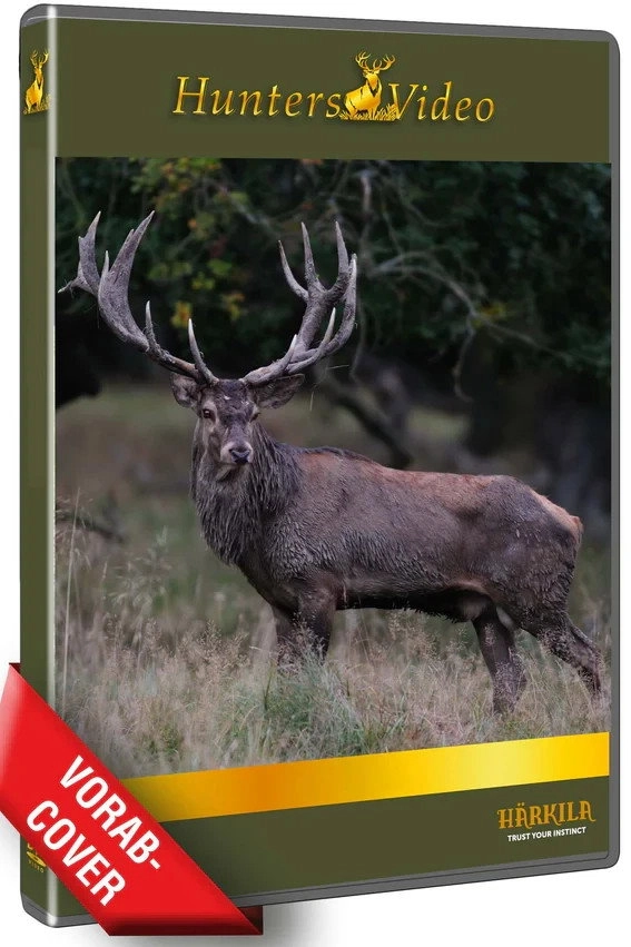 Summer Bucks