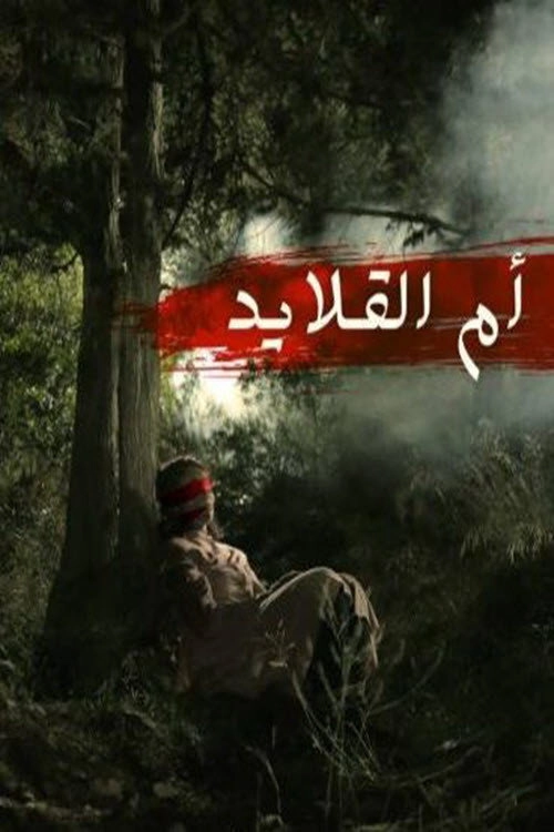 أم القلايد