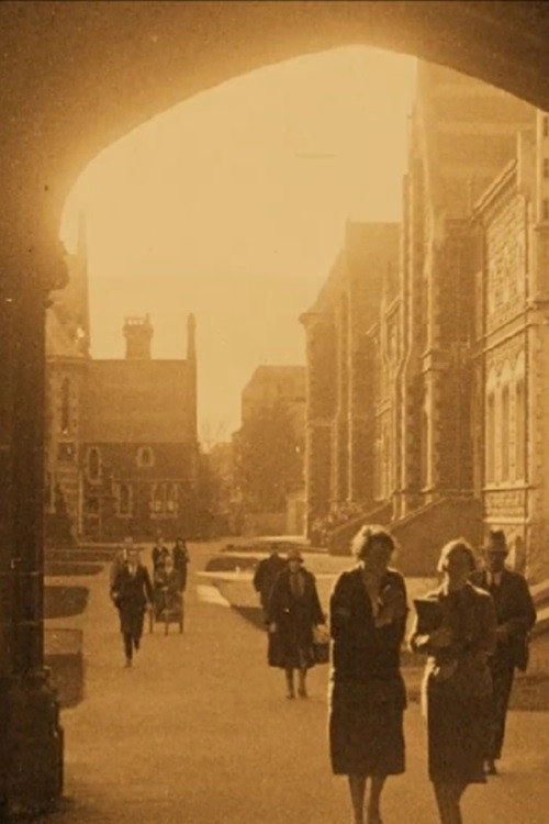 Dunedin City