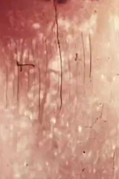 Awakener [16mm version]