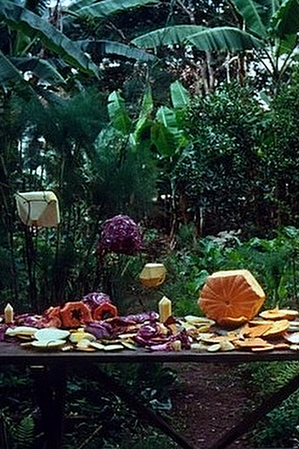 Fruit Polyhedron