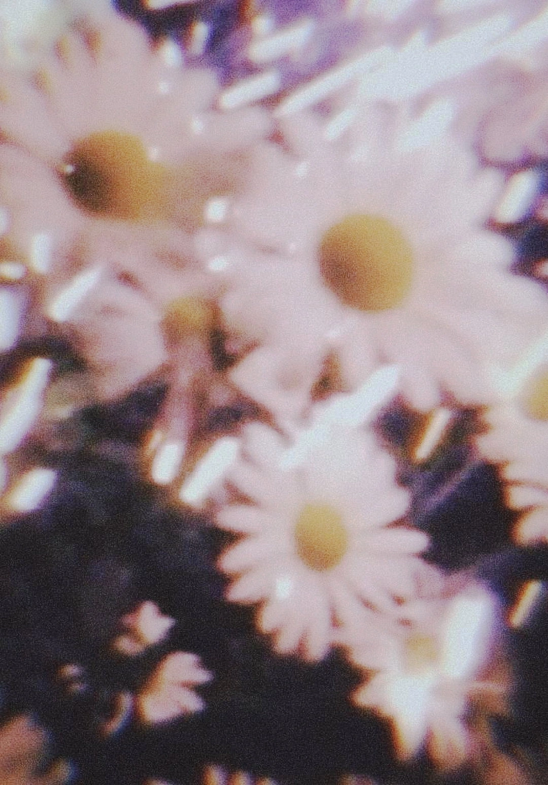 Amorphous diary