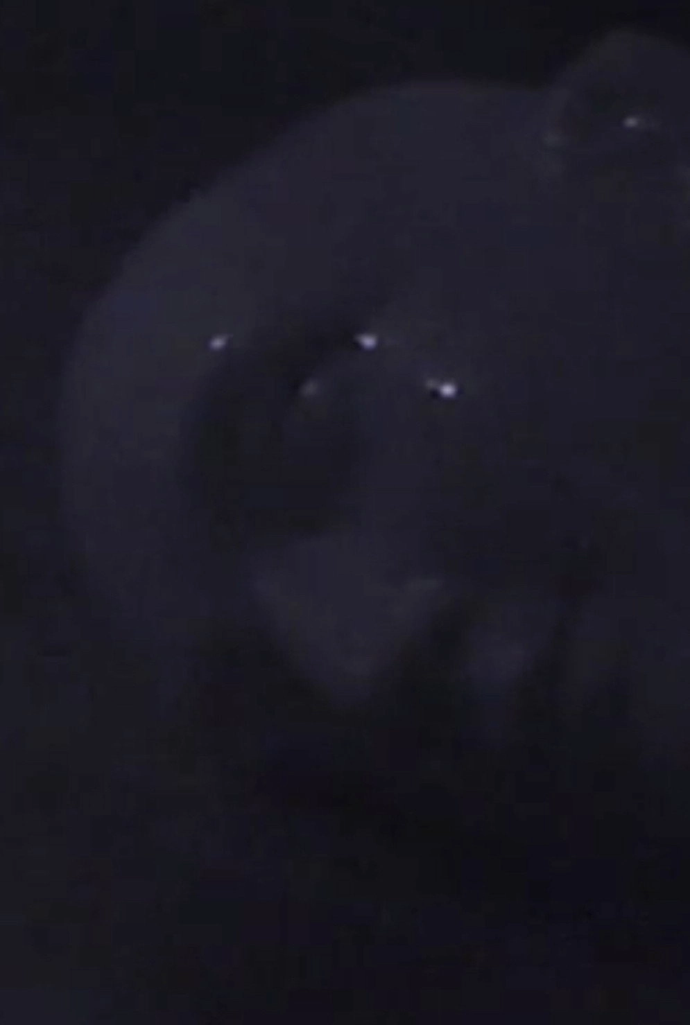 Silent Night