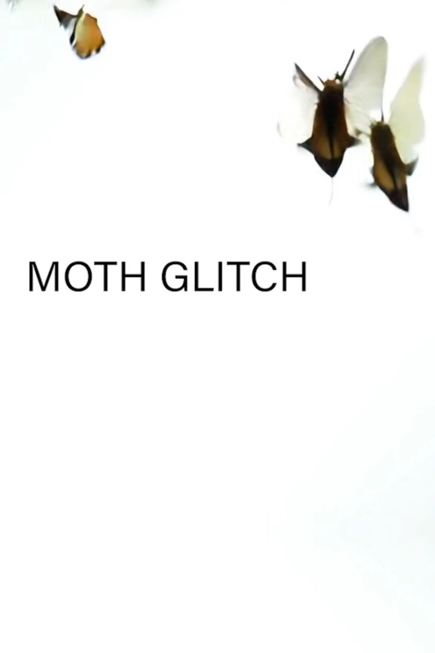 Moth Glitch