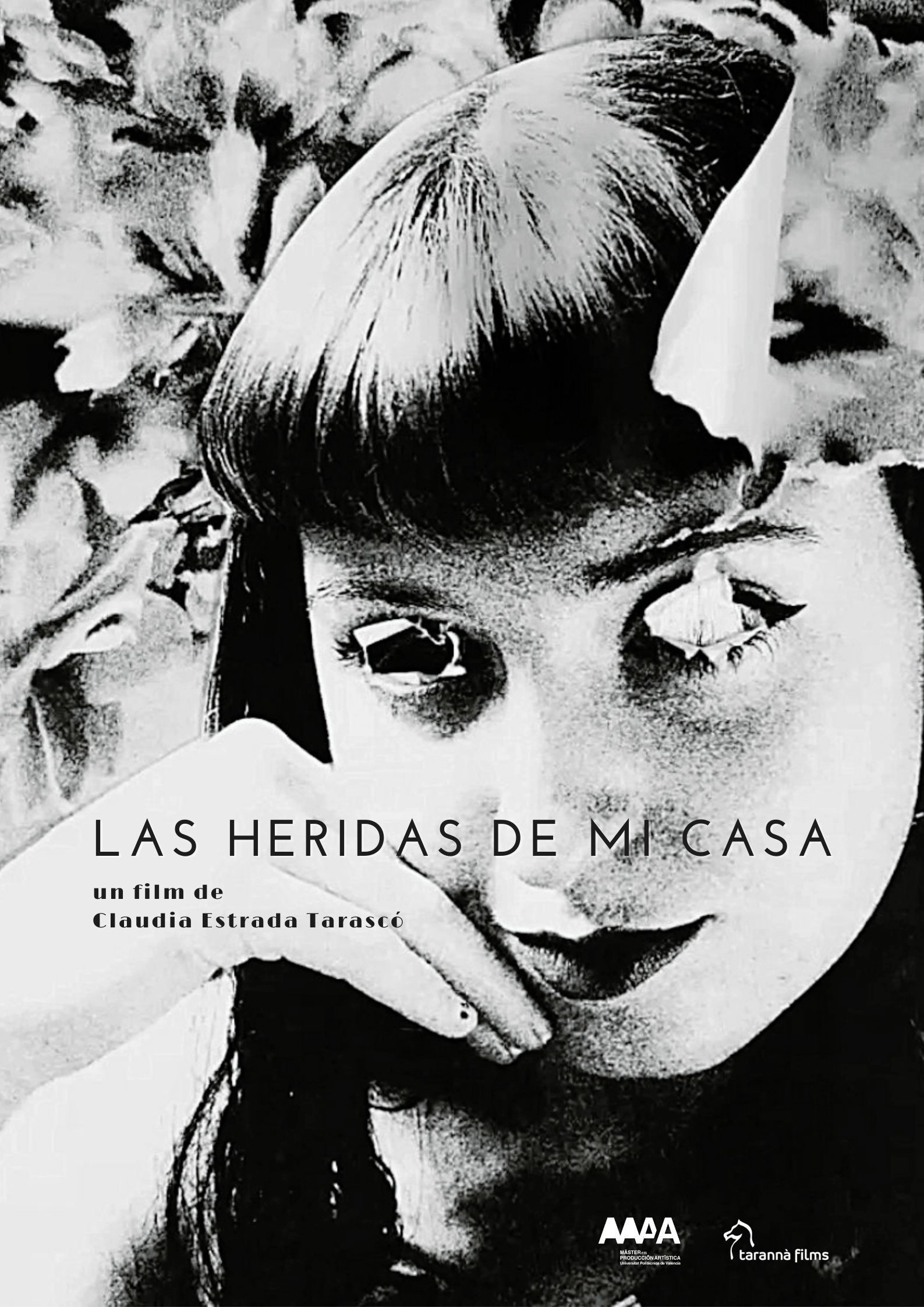 Las heridas de mi casa