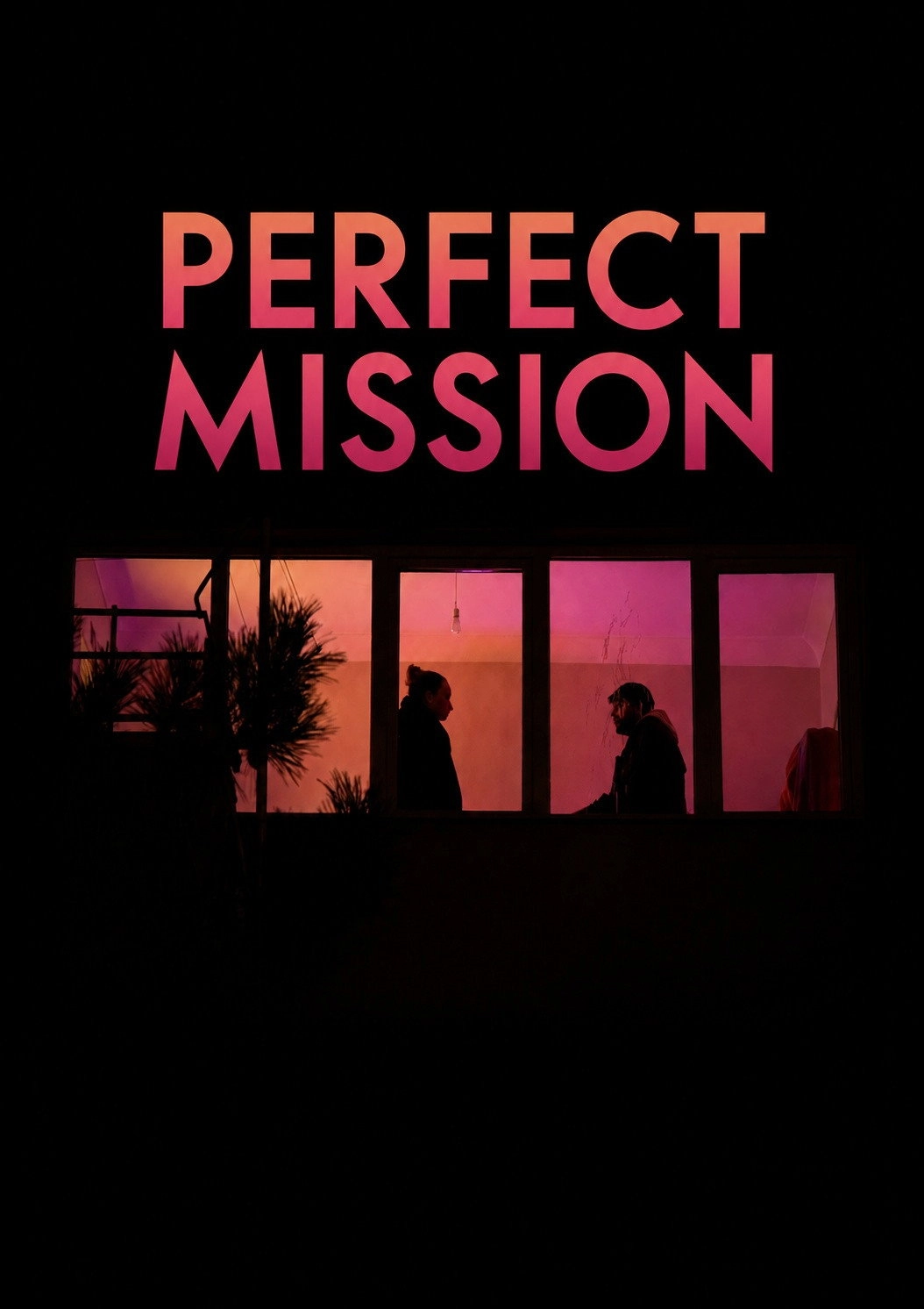 Perfect Mission