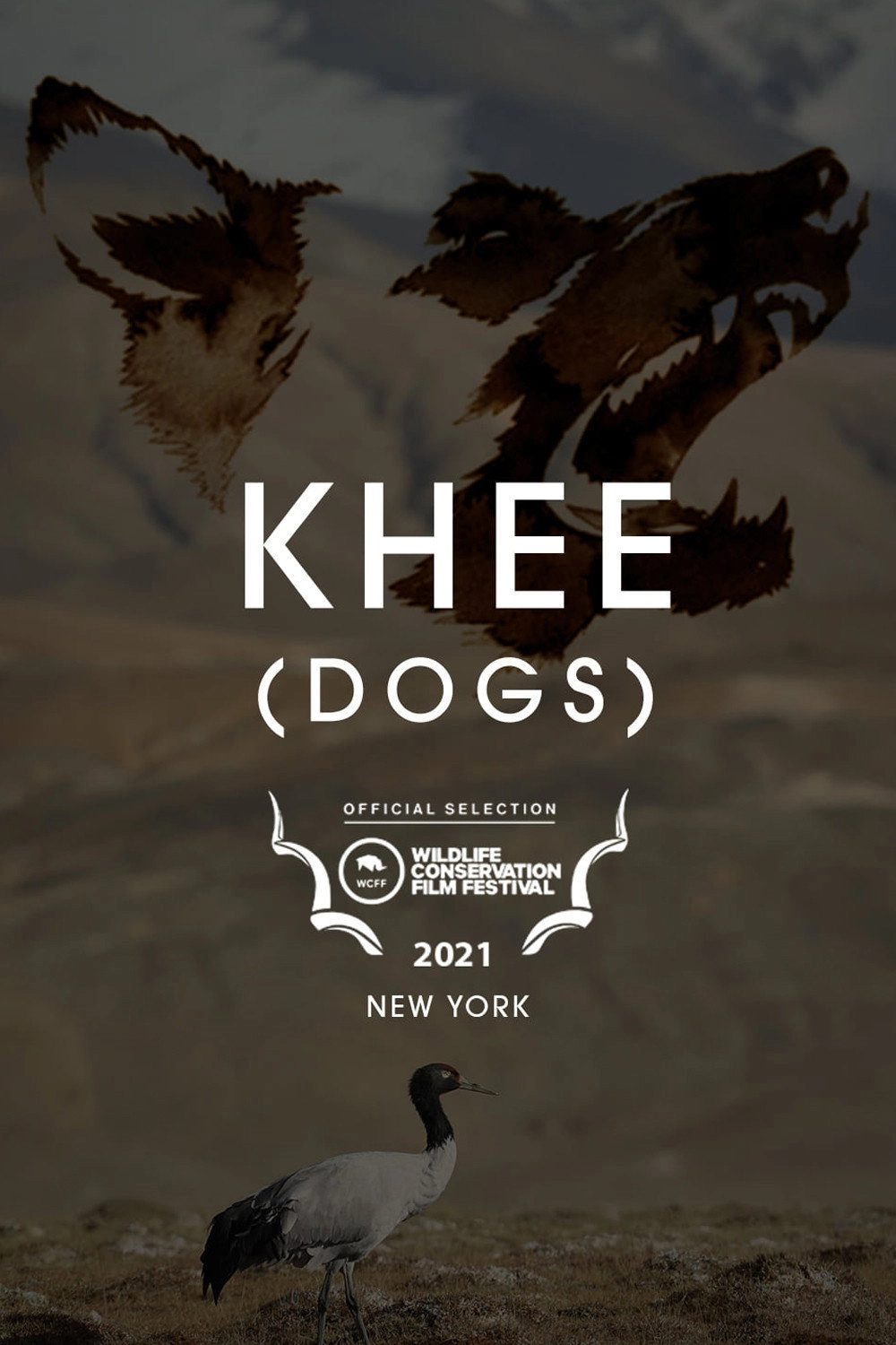Dogs