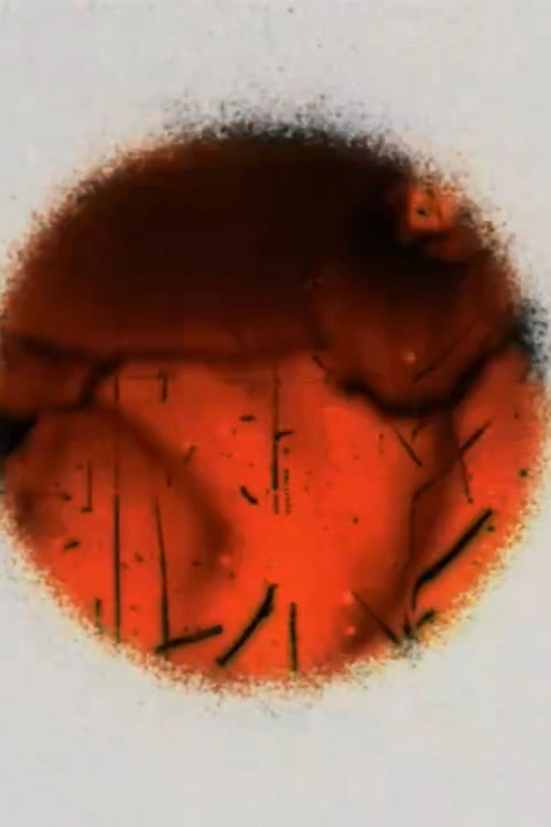 Cerclitudes II