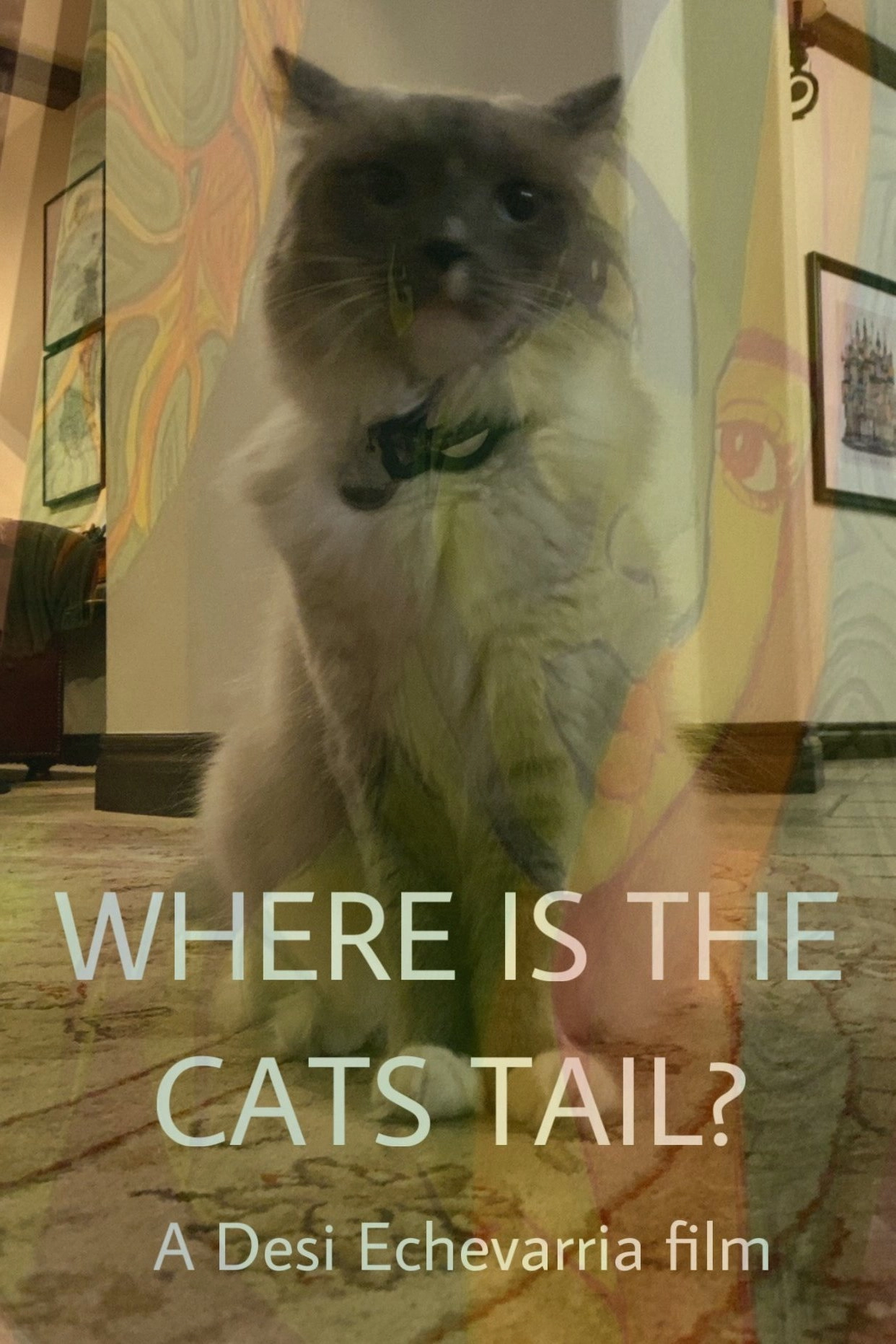 Where Is The Cat's Tail?