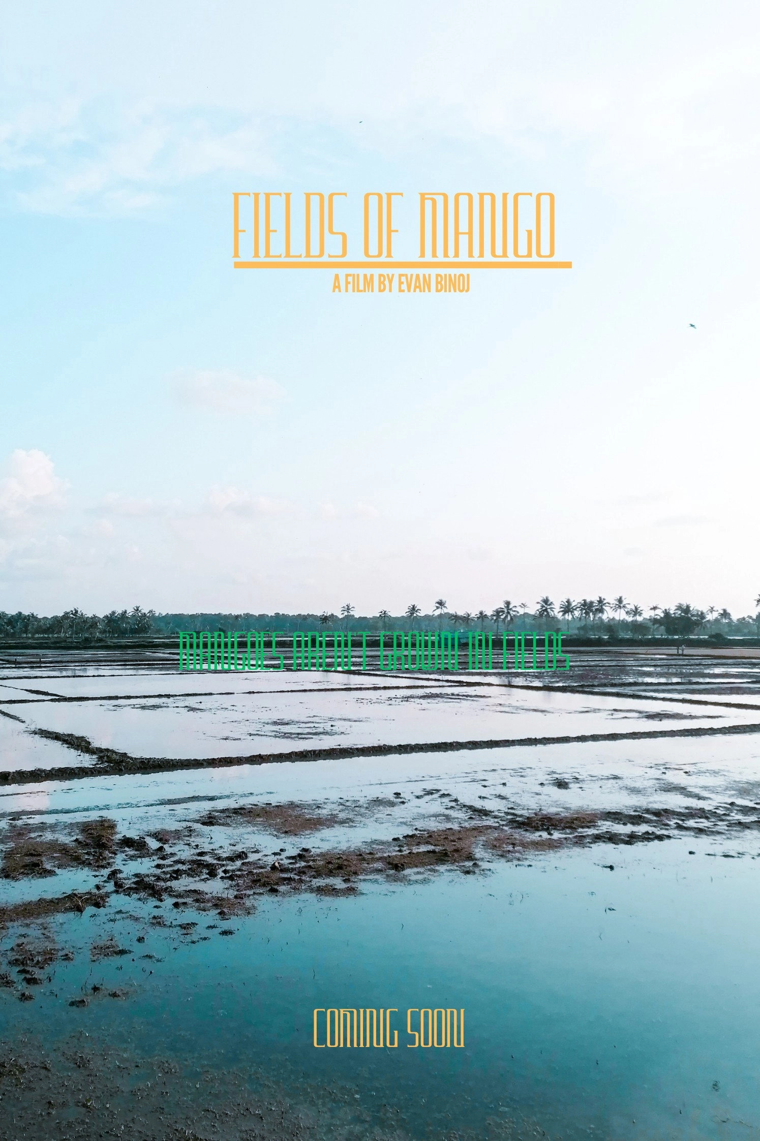 FiELDS of mangoes