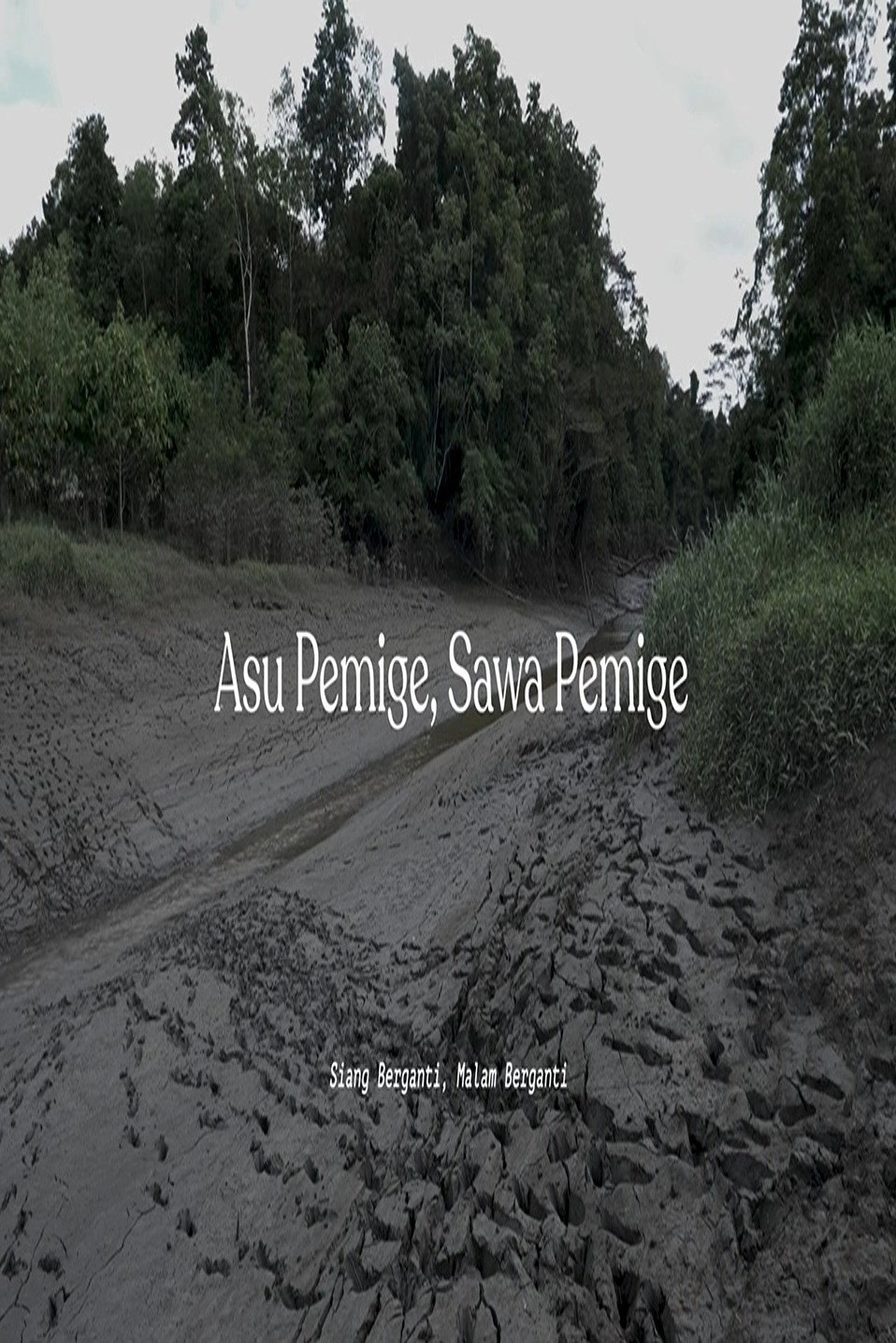 Asu Pemige Sawa Pemige