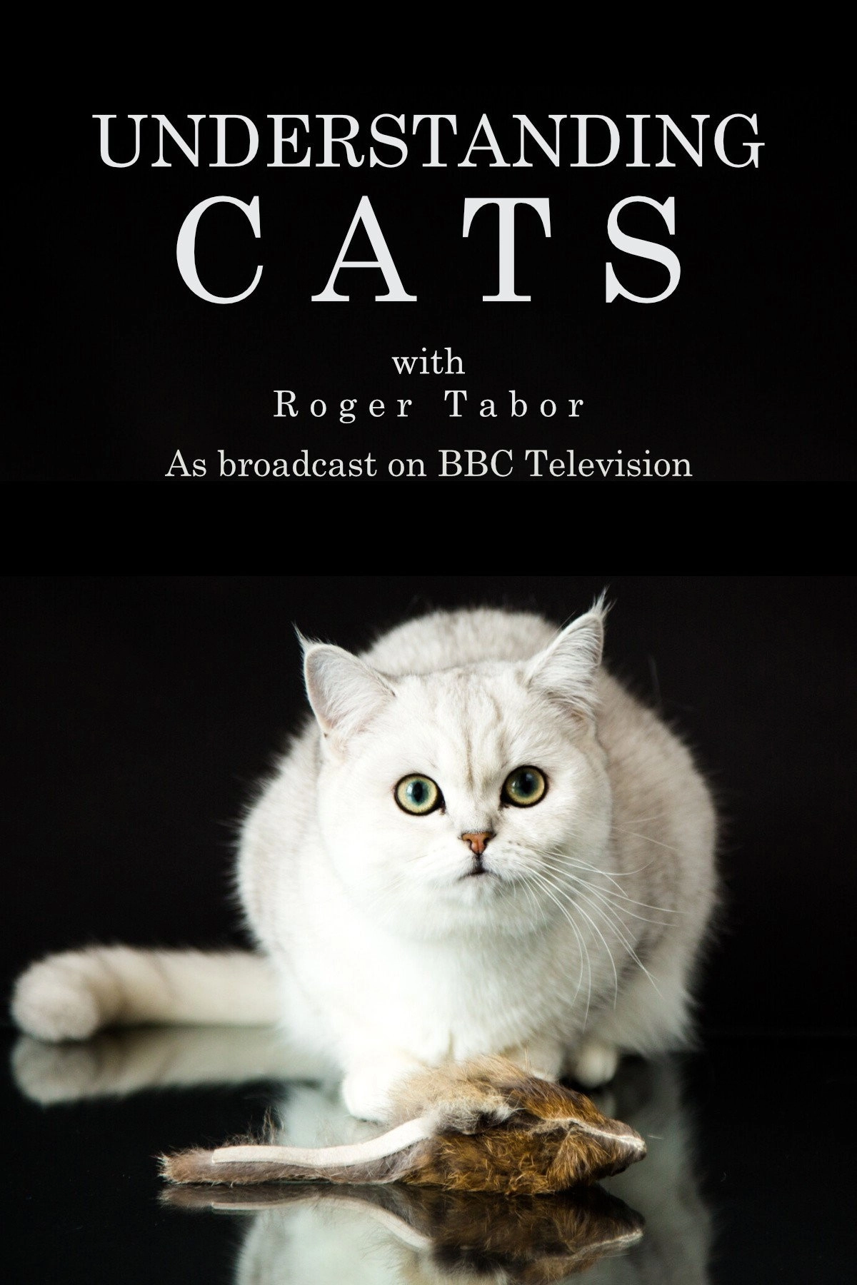 Understanding Cats