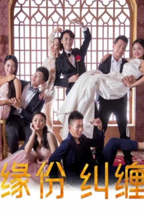 缘份纠缠