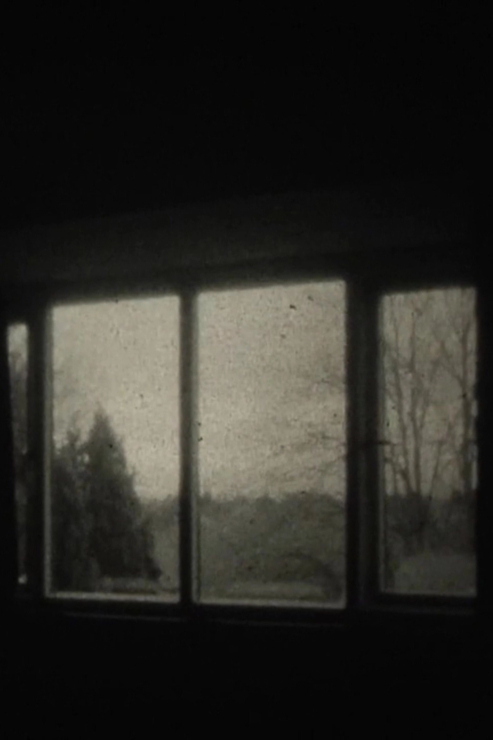 My Window