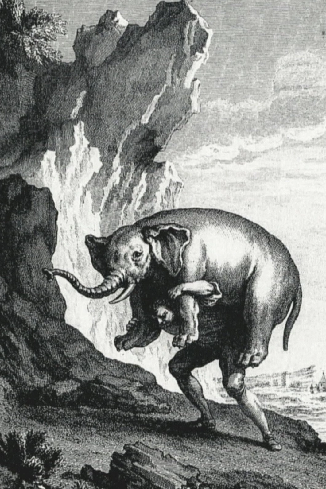 Reason is a Balancing Animal