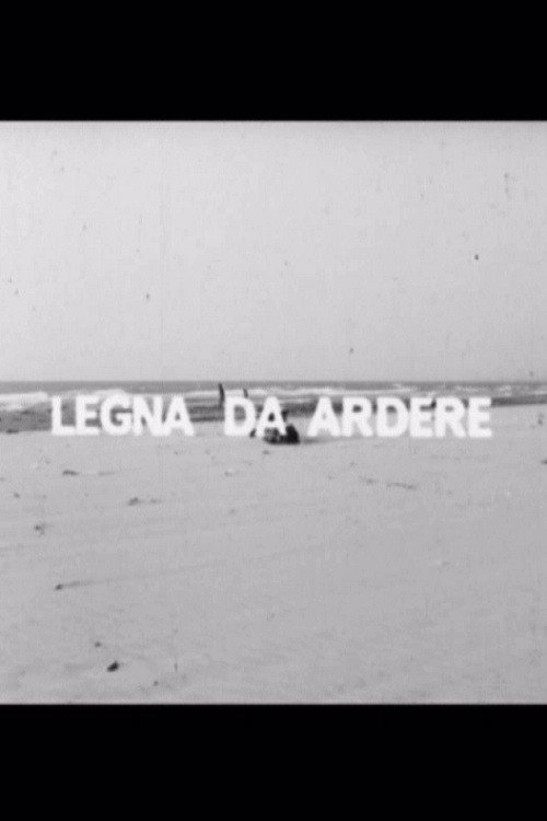 Legna da ardere