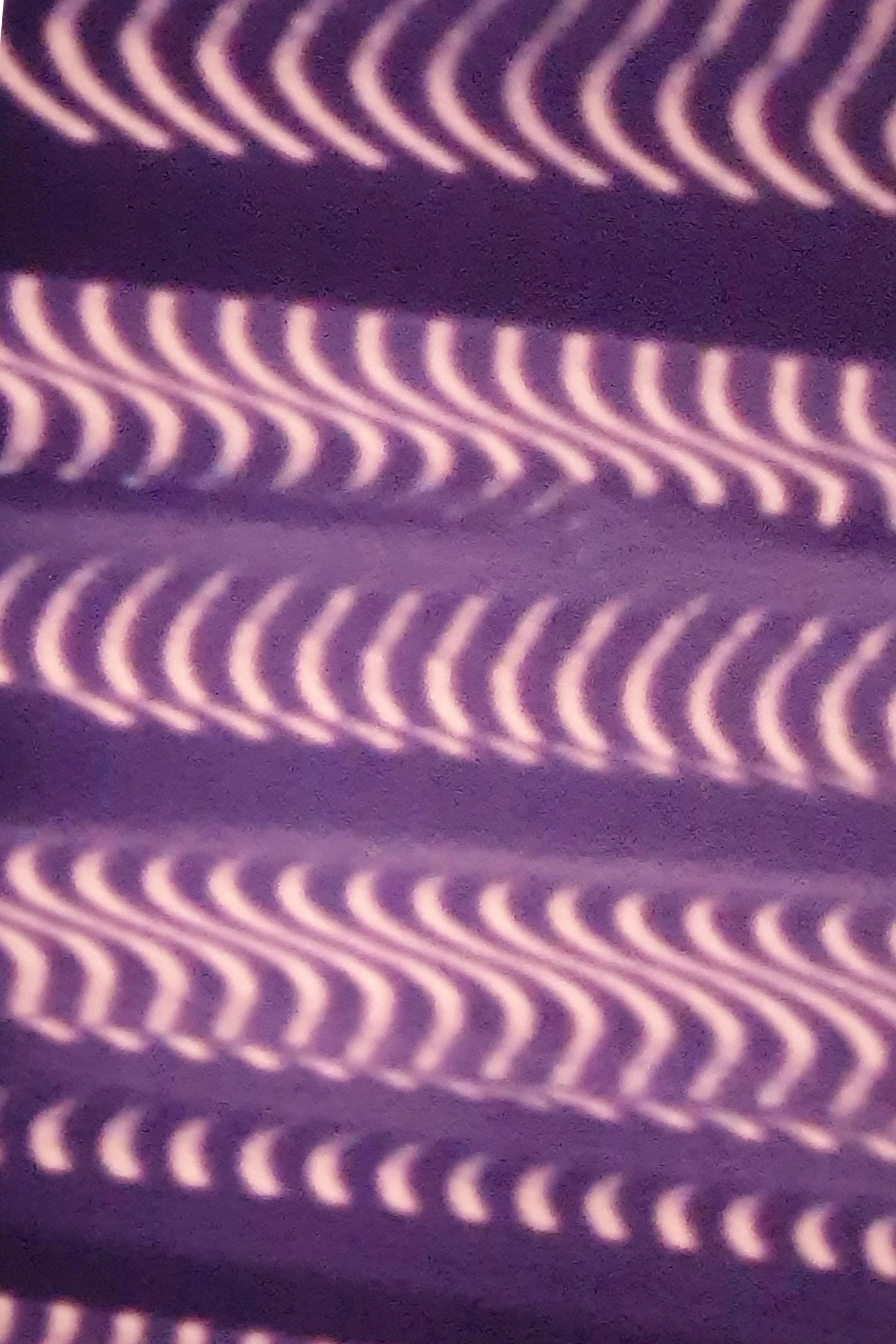 Lit Flat