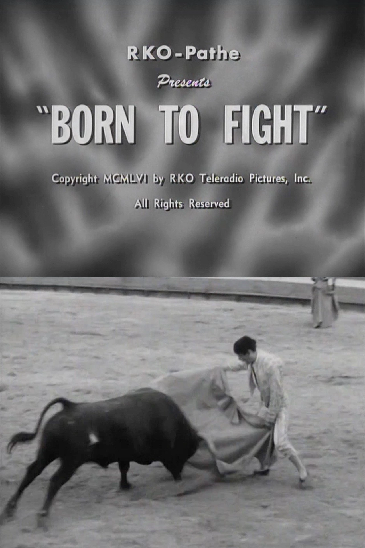 Born to Fight