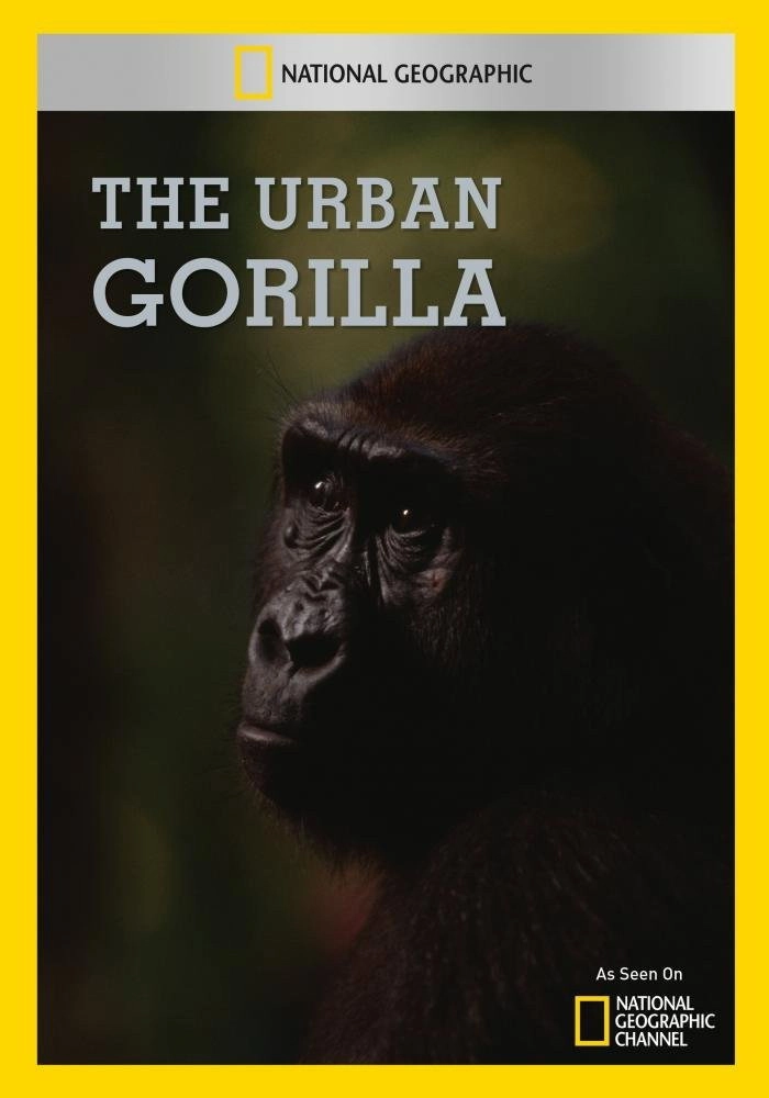 The Urban Gorilla