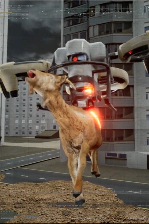 Electric Shepherds