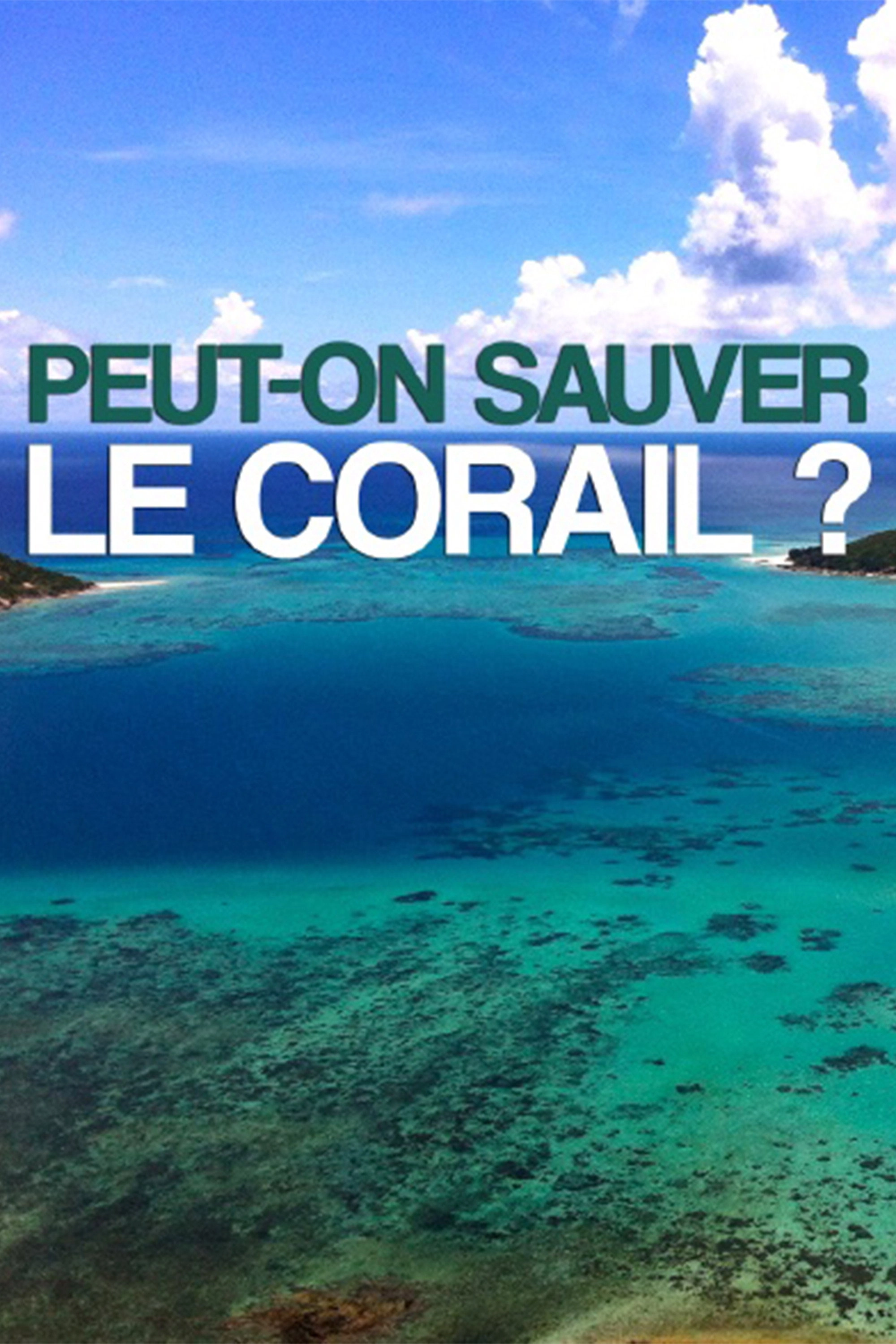 Can We Save the Reef?