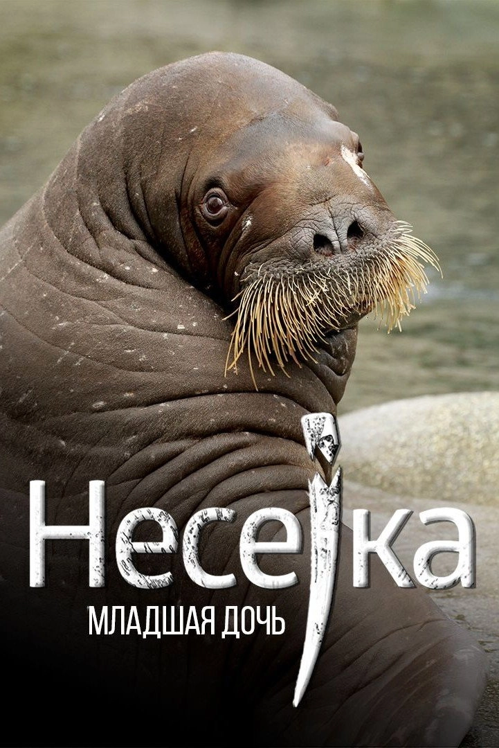 Neseyka: The Youngest Daughter