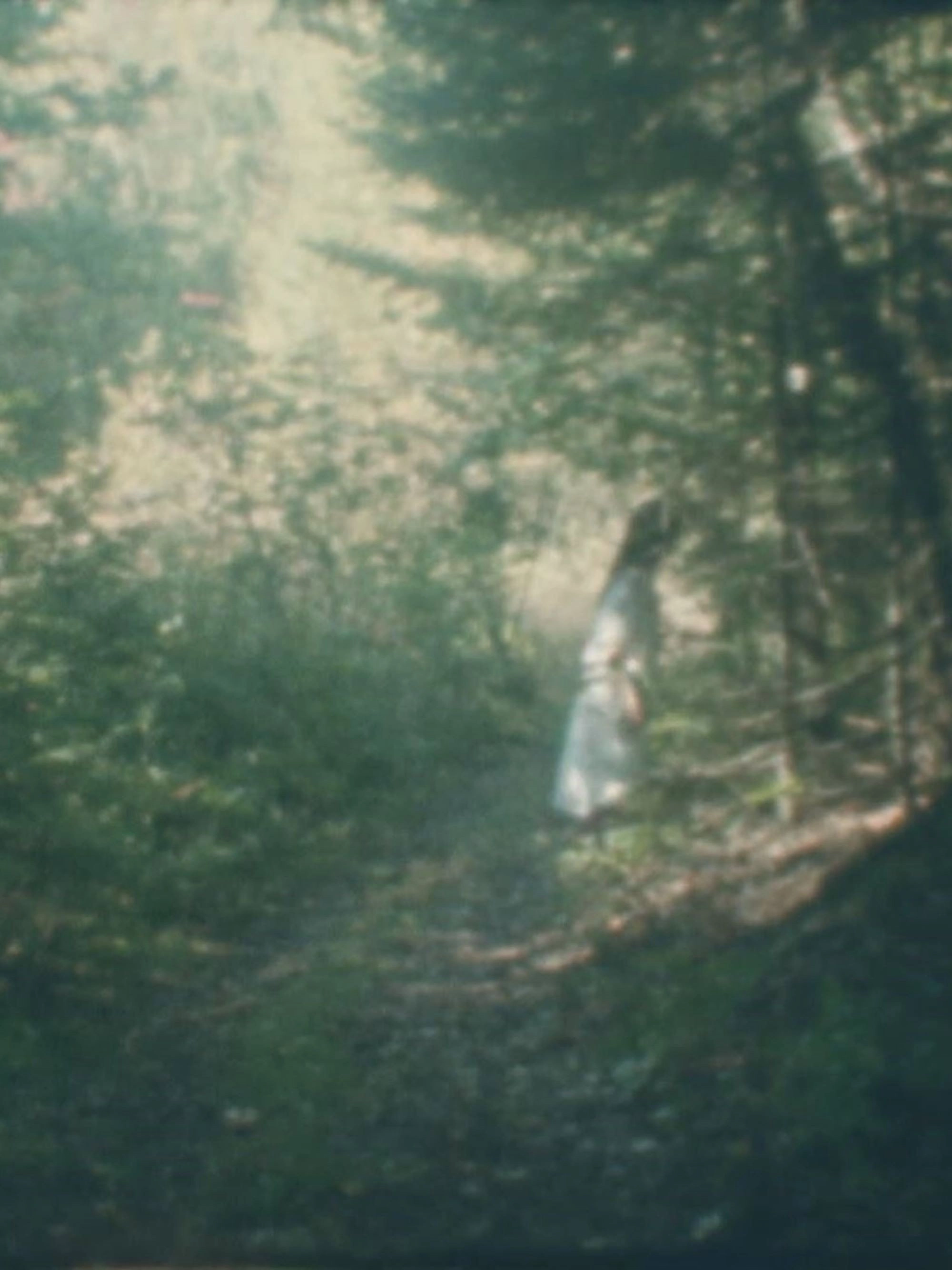 To the Forest