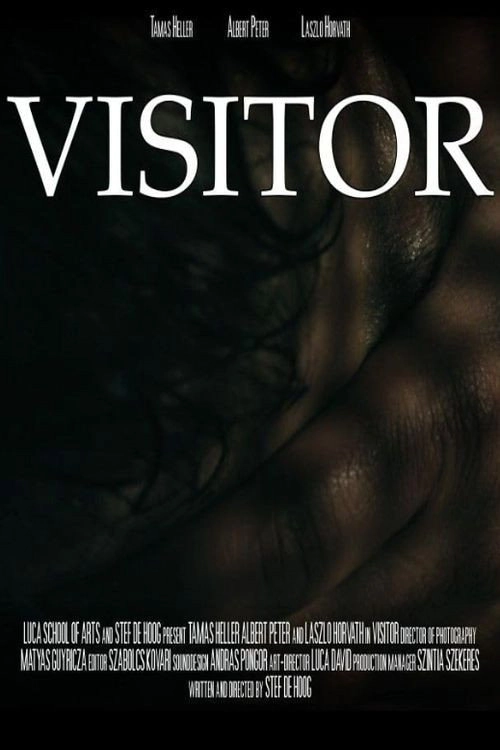 Visitor