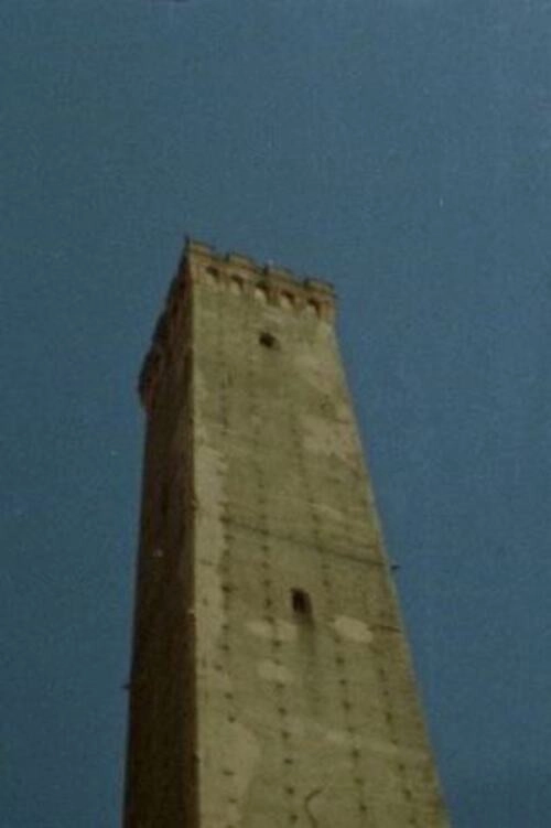 Bolognaogna