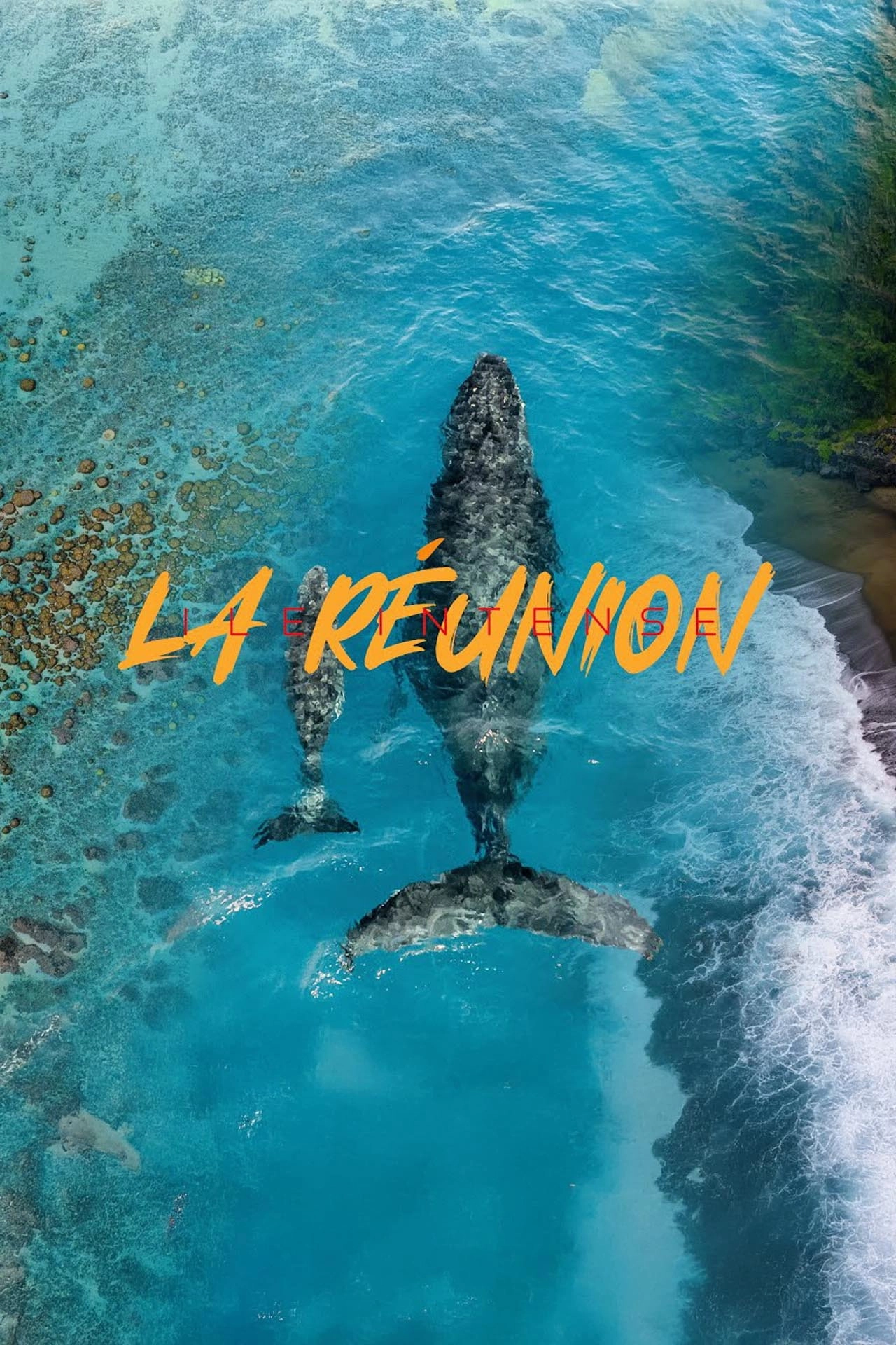 La Réunion: Ile Intense
