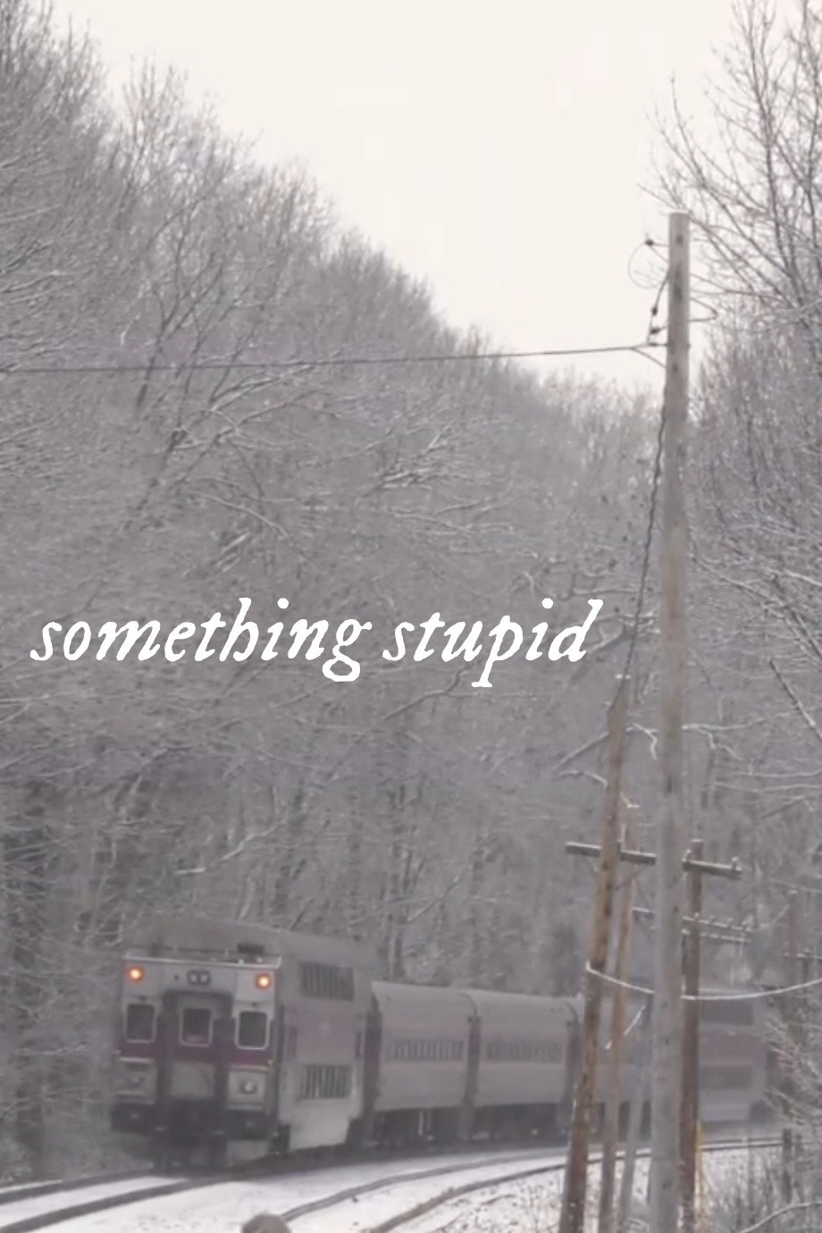 Something Stupid