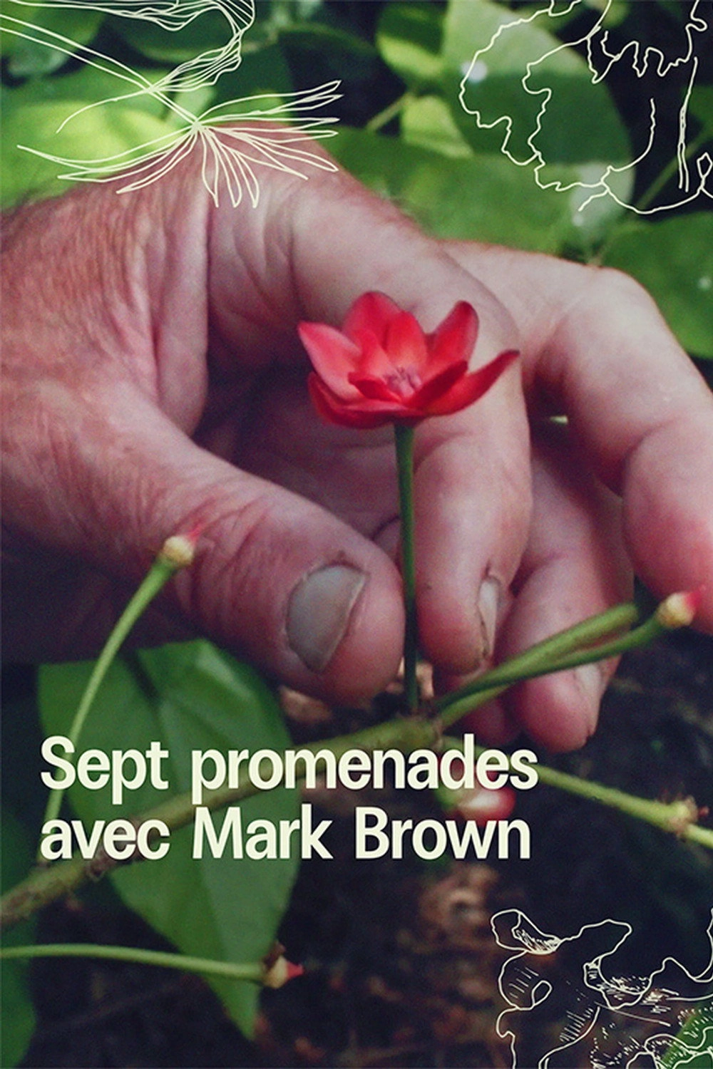 7 Walks with Mark Brown