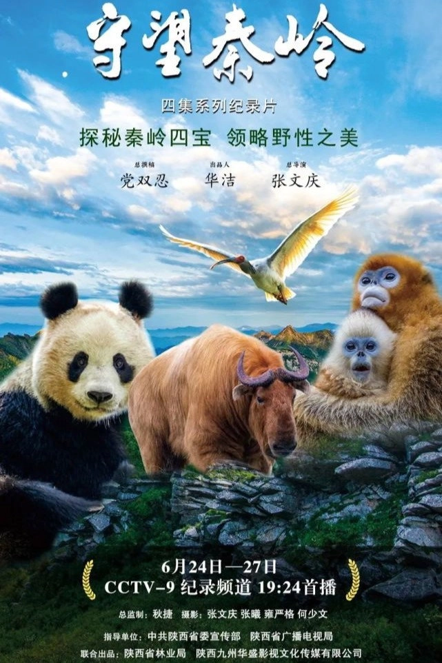 守望秦岭