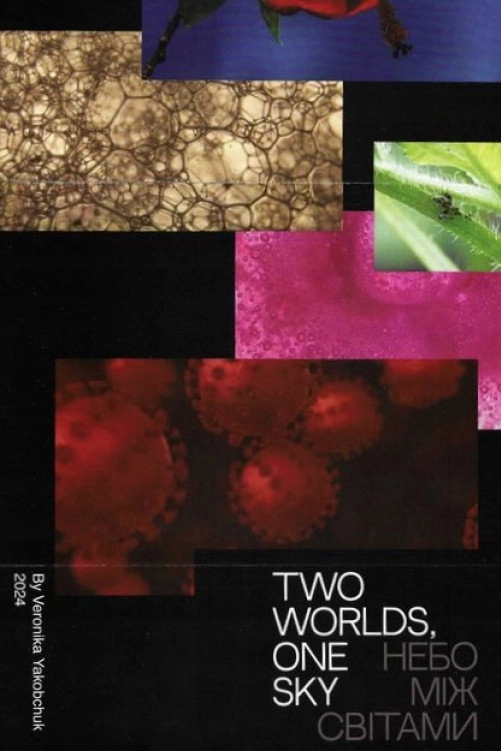 Two Worlds, One Sky