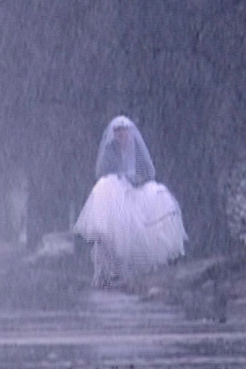 Eternal Bride