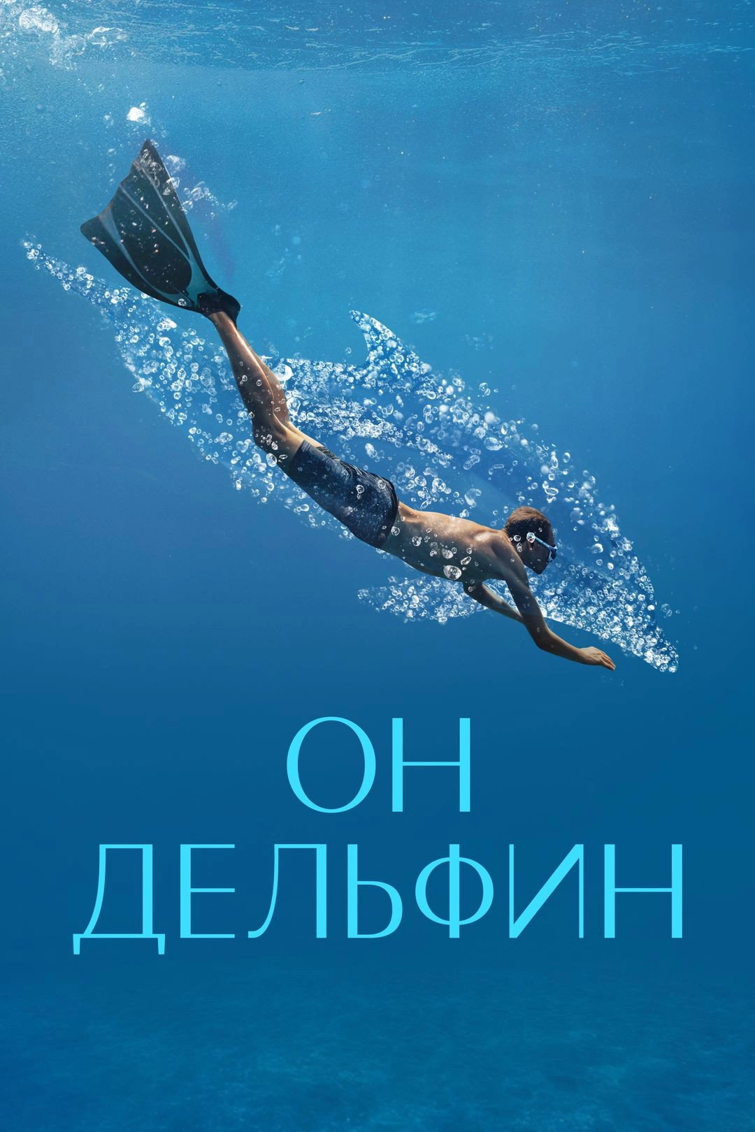 He's a Dolphin