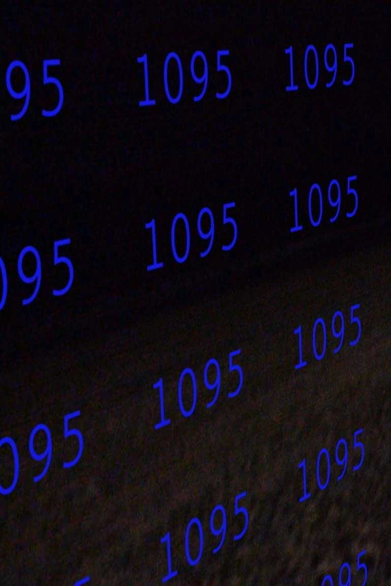 1095