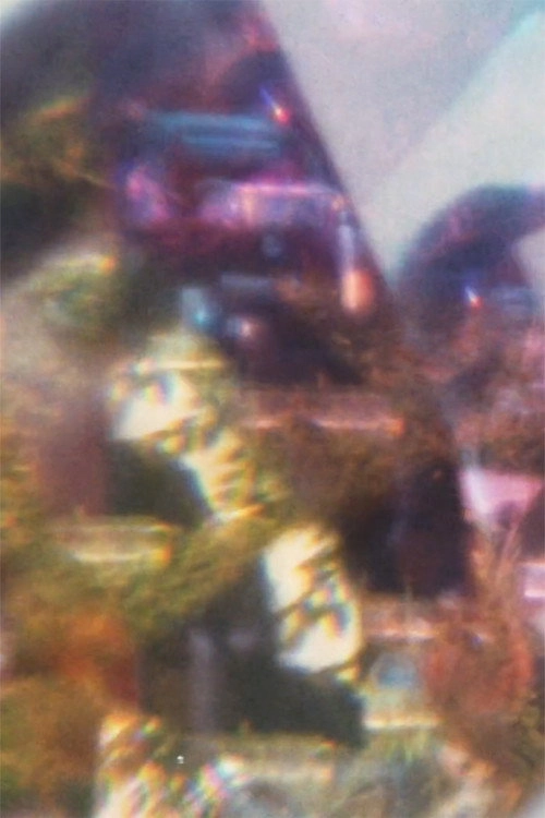 Fragmentasia