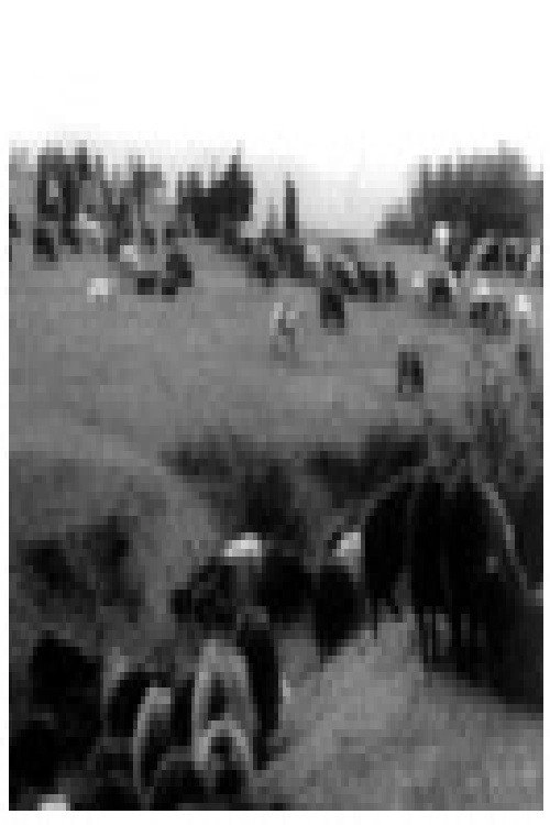The Last Nomads