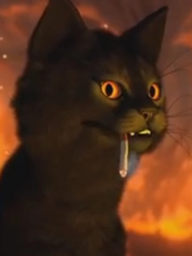 P A W
