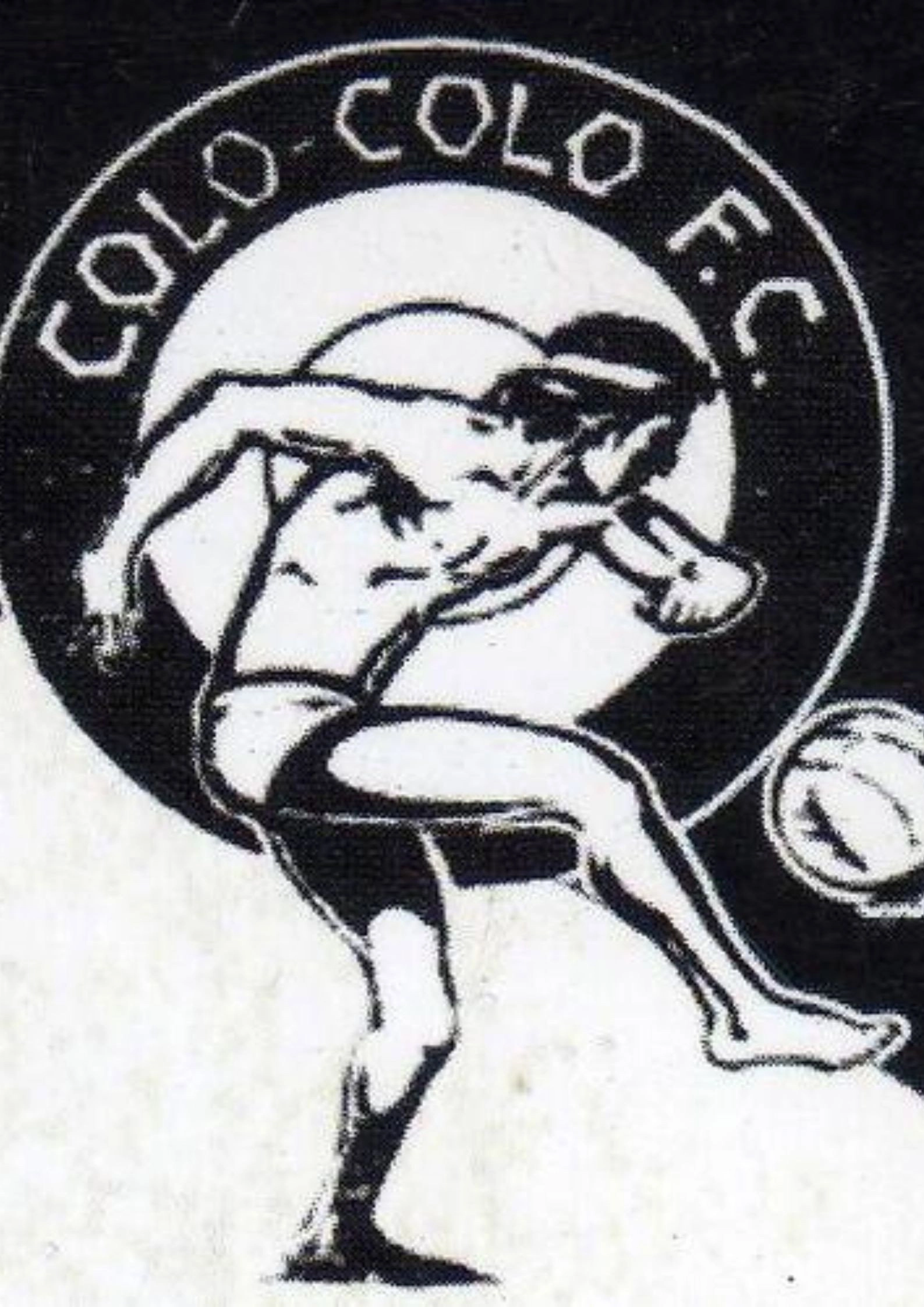 Colo-Colo Un Objeto de Deseo