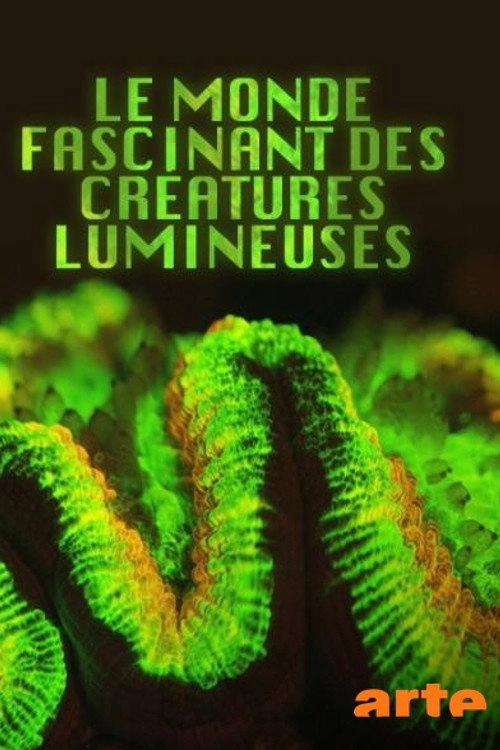 Creatures of Light