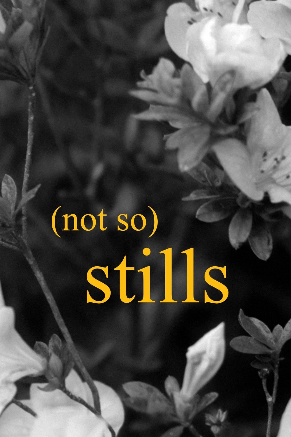 (not so) Stills.