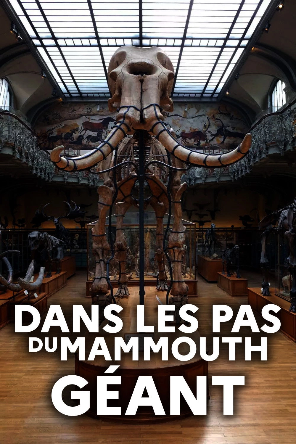 Dans les pas du mammouth géant