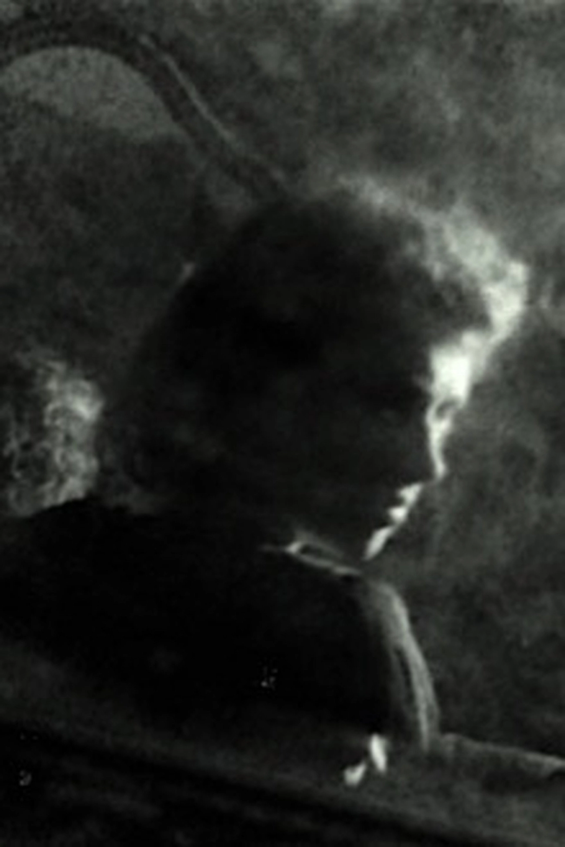 L'Image fantôme