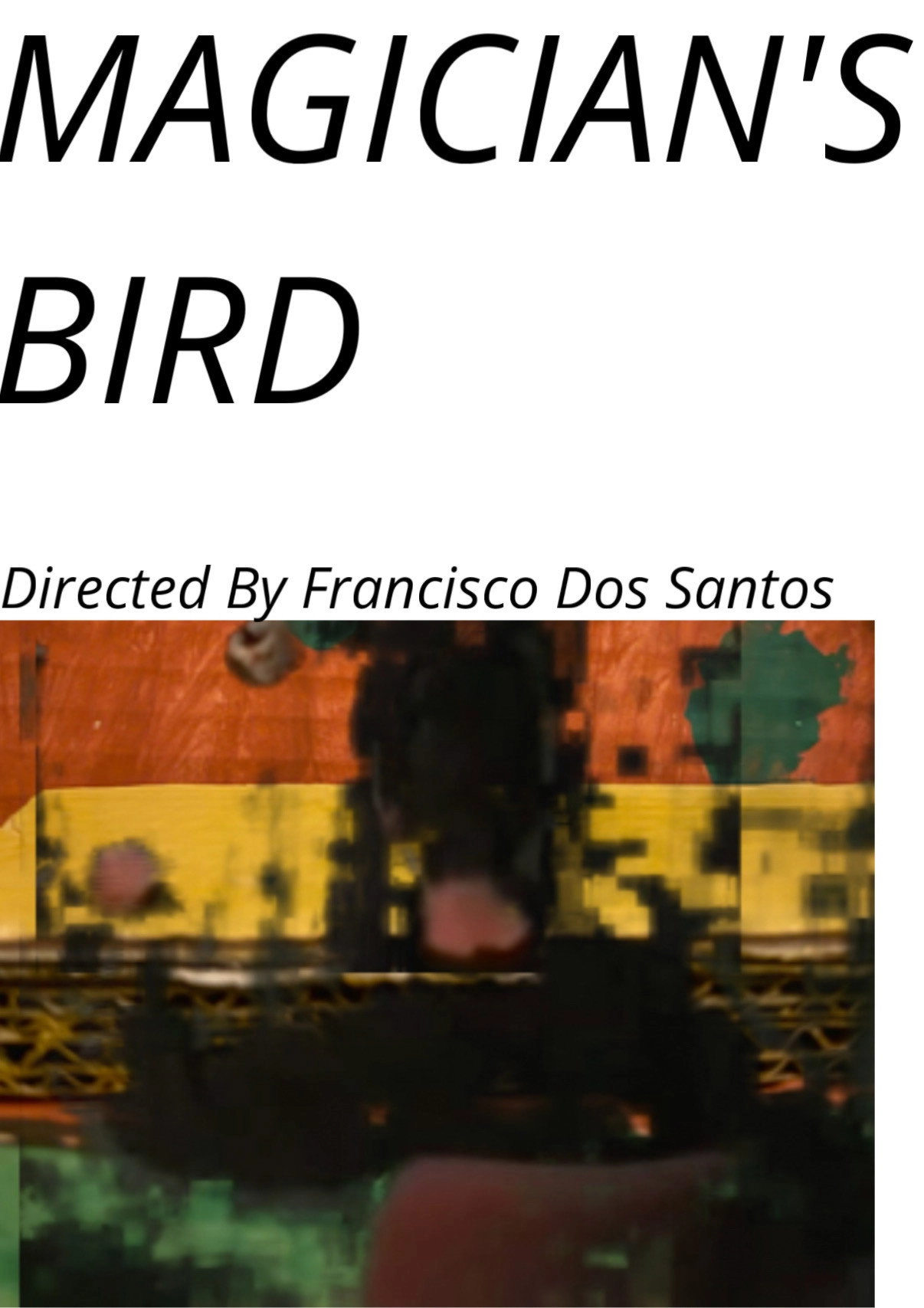 Magician's Bird